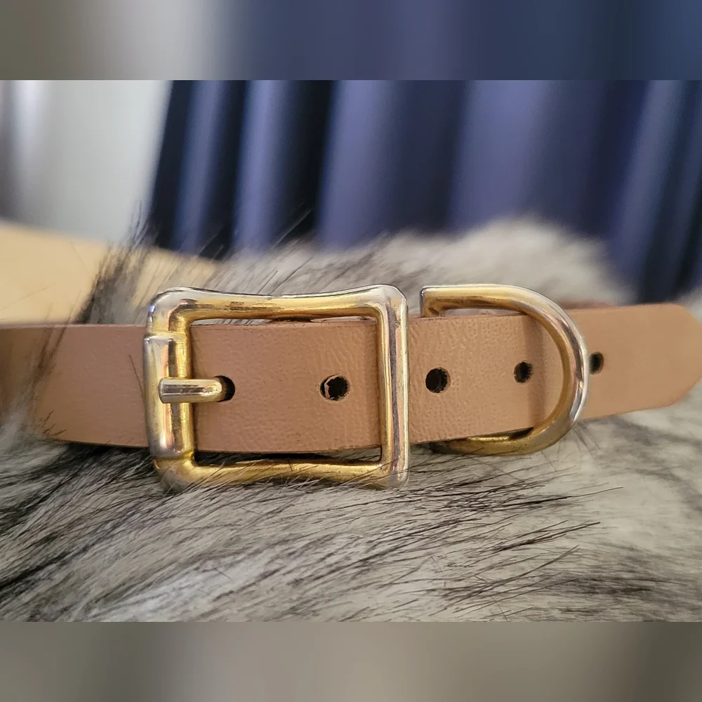 Dog collar, brown leather, breast cancer logo, 18